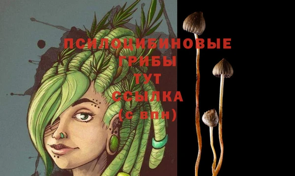 стафф Абинск